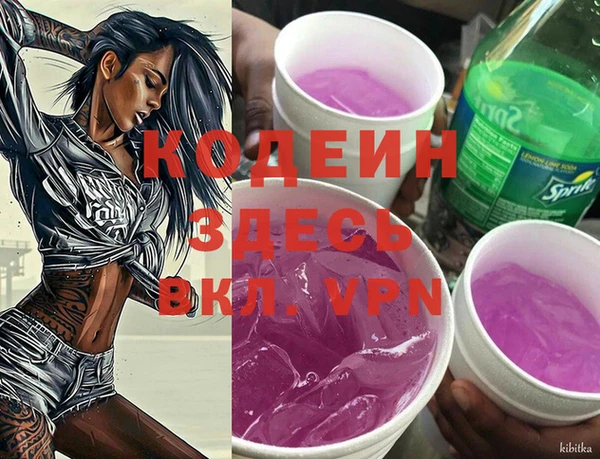 хмурый Пестово