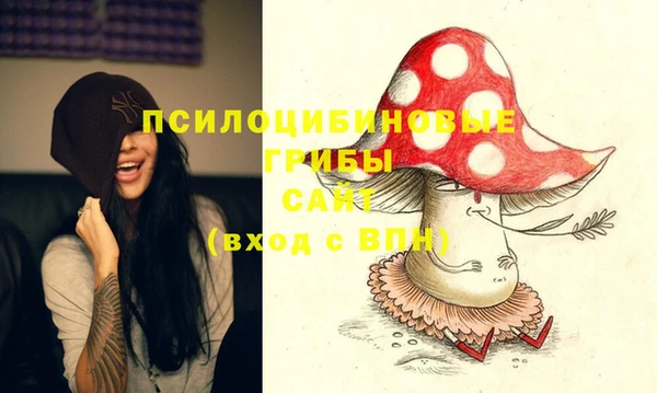 каннабис Дмитриев
