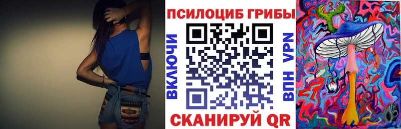 как найти   KRAKEN вход  Псилоцибиновые грибы Psilocybine cubensis  Вилюйск 